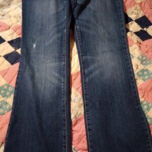 American Eagle favorite boyfriend Jean 8 long